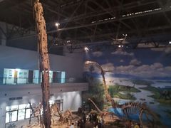 -自贡恐龙博物馆