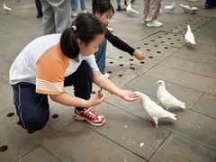 -天津妈祖文化园