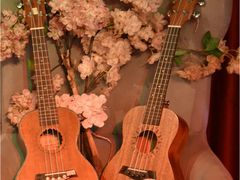 景观位-樱花里音乐餐吧·牛扒椰子鸡(东圃店)