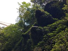 -南江大峡谷