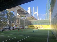 -飞梦少儿足球培训(塘桥校区)