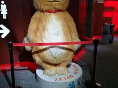-首都电影院(天津店 中国巨幕)