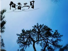 -香山公园