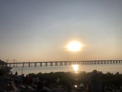 -宝安西湾红树林湿地公园