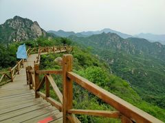 -大岭沟猕猴桃谷风景区