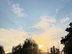 -径山花海
