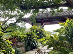 -江心屿景区