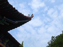 -开福禅寺
