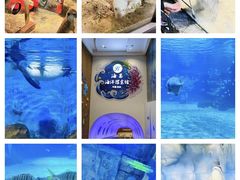 -常州海昌海洋探索馆