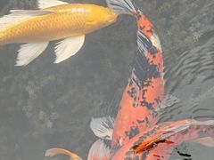 -成飞公园