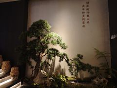 -蘇锦宴·淮扬菜烤鸭·小院(三元桥霄云路店)