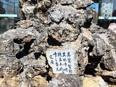 -庾园