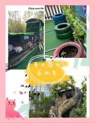 -可可天空农场(中大店)