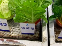 -新海利海鲜城·41年珠海老字号(夏湾店)
