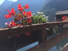 -布劳伽斯特豪夫哈尔施塔特宾馆