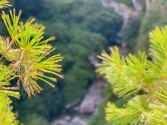 -苍山感通索道