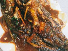 -老品芳