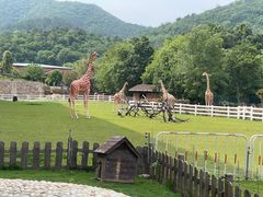 -南京汤山紫清湖生态旅游温泉度假区