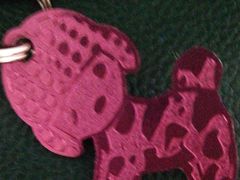 -美迦爱-牙专科·兔科·骨科诊疗中心(北苑店)