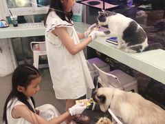 -有猫主题·治愈系猫咖(曾厝垵店)