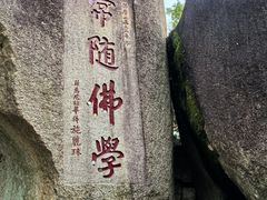 -南普陀寺