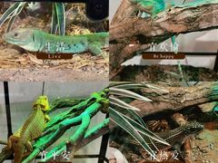 -上海昆虫博物馆