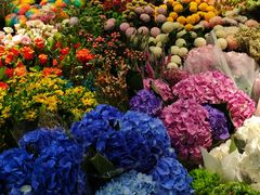 -双季花艺园艺市场(浦东店)