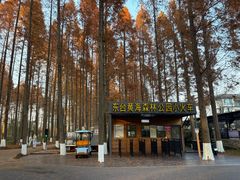 -黄海国家森林公园