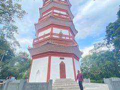 -分塔山省级森林公园