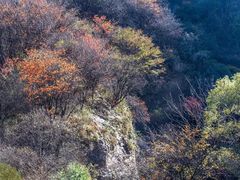 -秦岭风景区