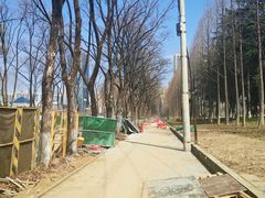 -后襄河公园