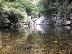 -少华山国家森林公园