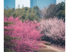 -白塘生态植物园