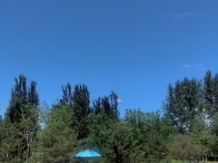 -东郊湿地公园