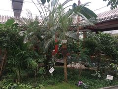 -汤山翠谷生态餐厅