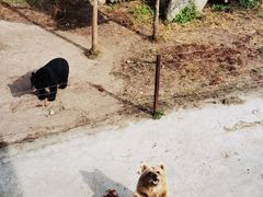 -哈尔滨北方森林动物园