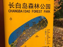 -长白岛森林公园