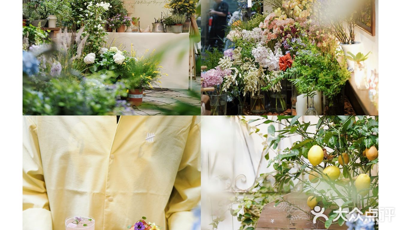 春天开在了花里花俏的地方💐