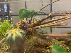 -Rabbit Cafe私房西餐甜点咖啡(栖霞路店)