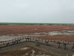 -红海滩国家风景廊道