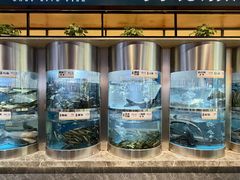 -老船舫·现做活鲜鱼馆(东郊记忆店)