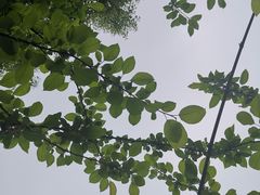 -芜湖方特东方神画