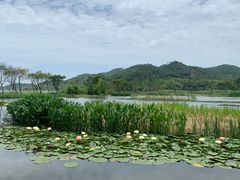-山水一号·中餐厅