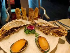 -汤城·料青山