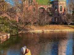 -北京动物园-畅观楼