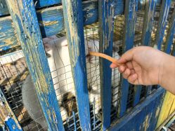 -三分地生态园·儿童乐园