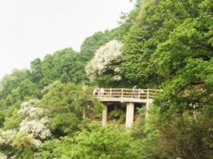 -少华山国家森林公园