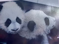 -杭州野生动物世界
