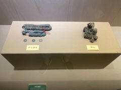 -上海三山会馆