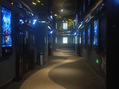 -AMG海上明珠影城(上海环球港RealDCinema店)